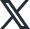 X icon